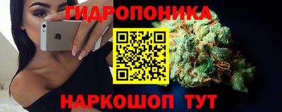ALPHA-PVP Можга
