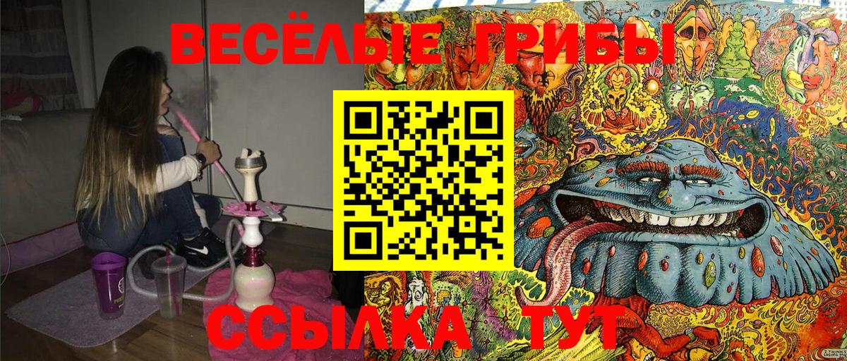 Галлюциногенные грибы GOLDEN TEACHER Сочи